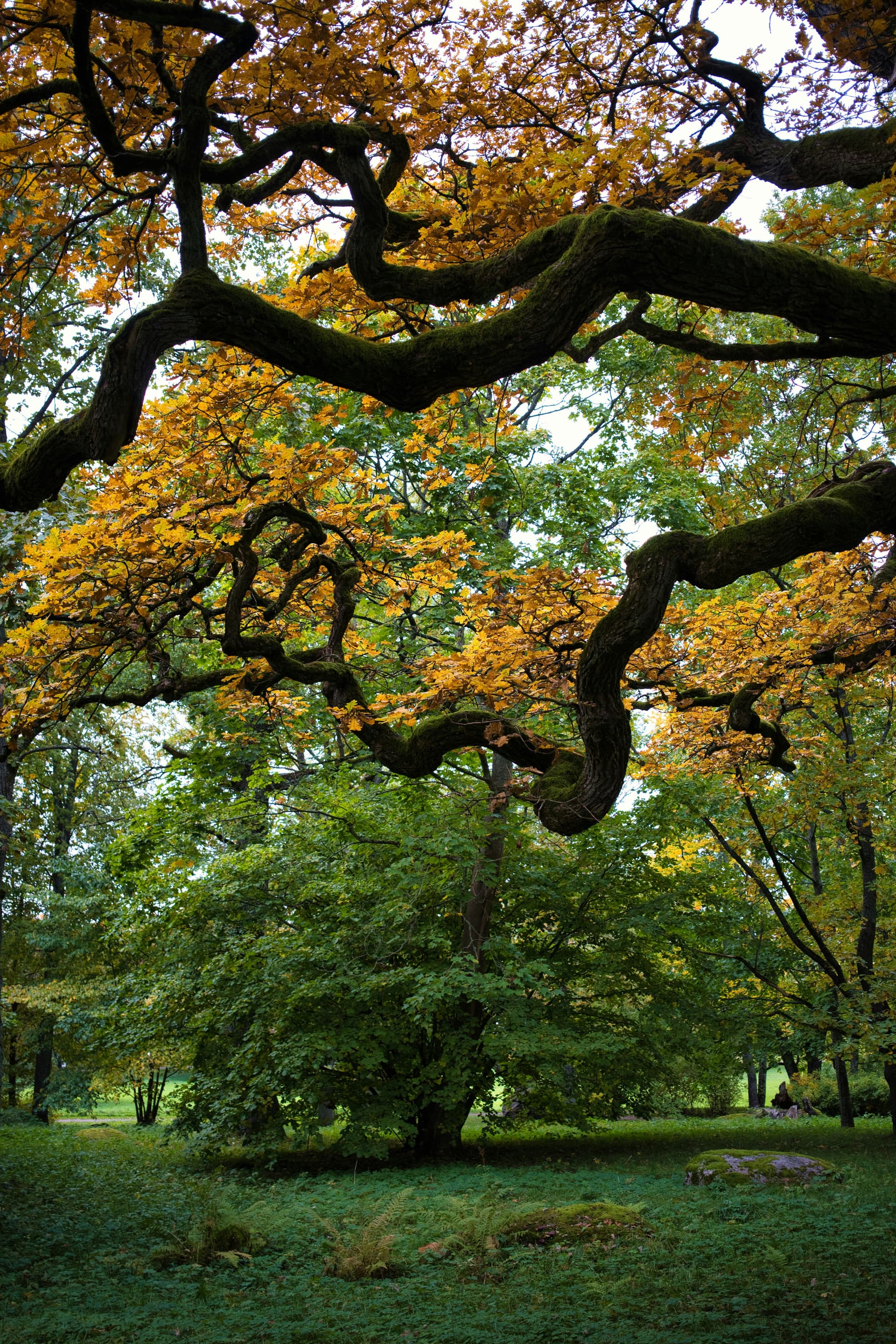 Krytá sportovní hala