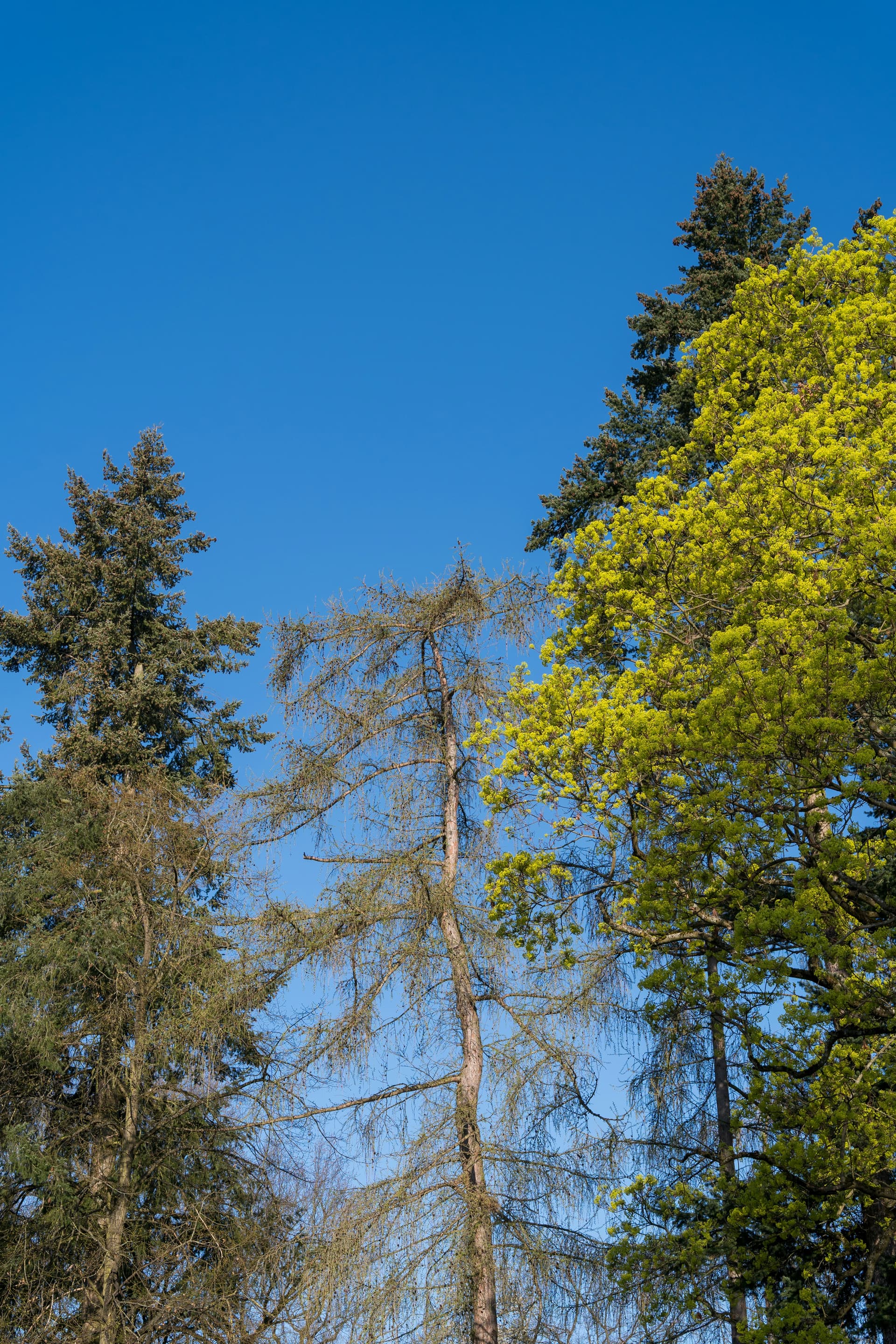 Park farmy a krajina